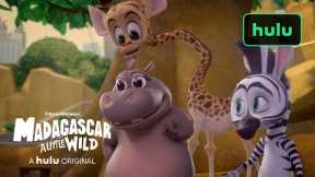 A Little Wild On New Year's Eve! | Madagascar: A Little Wild  Season 3 Clip | A Hulu Original
