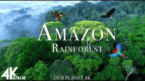 Amazon 4k - The World’s Largest Tropical Rainforest Part 2 | Relaxation Film with Calming Music