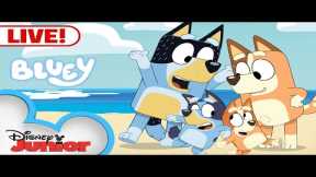 🔴 LIVE! Bluey Full Episodes | The Doctor, Keepy Uppy, Dance Mode, and MORE! |  @disneyjunior