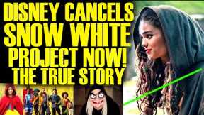 DISNEY CANCELLED SNOW WHITE PROJECT! The TRUE STORY Arrives & It's A Nightmare For Bob Iger